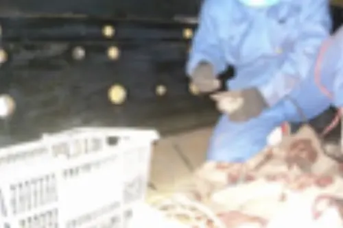 4.改造および業務改善アドバイス等のサービスサポート業務